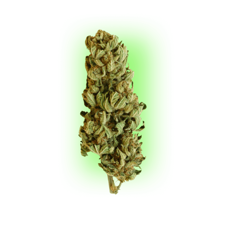 Cannabis Seeds Northern Light Indica
