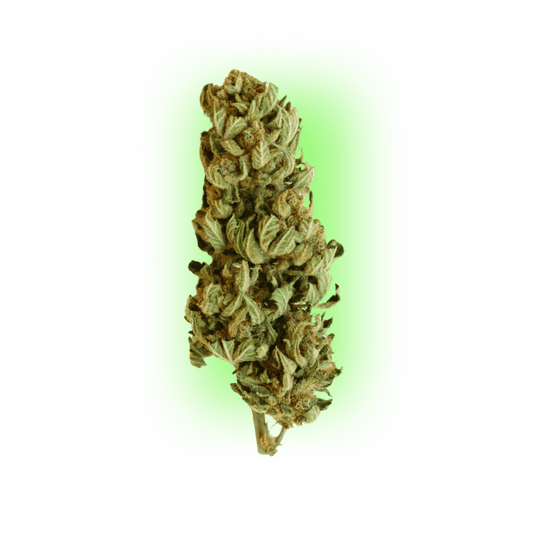 Cannabis Seeds Northern Light Indica