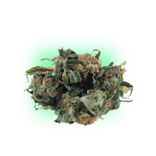 Cannabis Seeds Mango Smile 3 Stück-HHCFriends