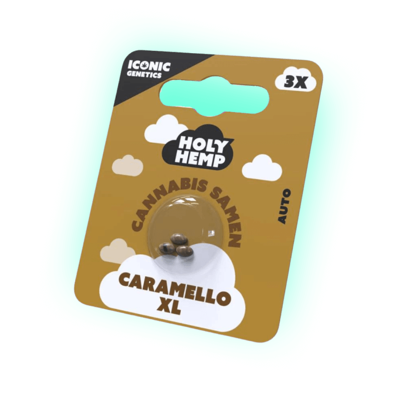 Seeds Caramello XL - Iconic Seeds (3 Stück)