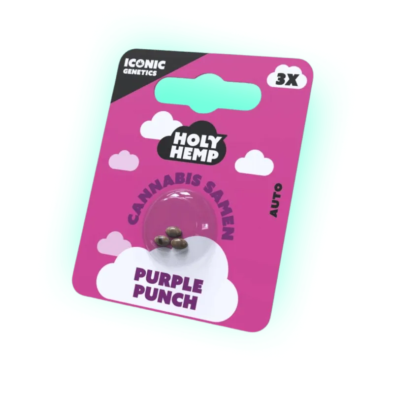 Seeds Purple Punch - Iconic Seeds (3 Stück)-HHCFriends