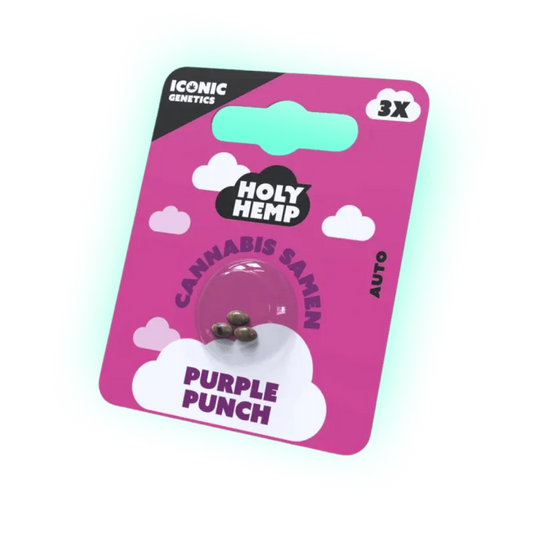 Seeds Purple Punch - Iconic Seeds (3 Stück)-HHCFriends