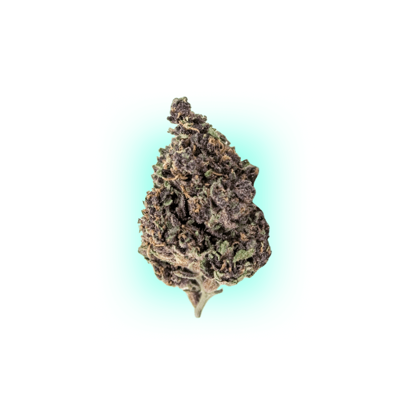 Cannabis Samen Blueberry
