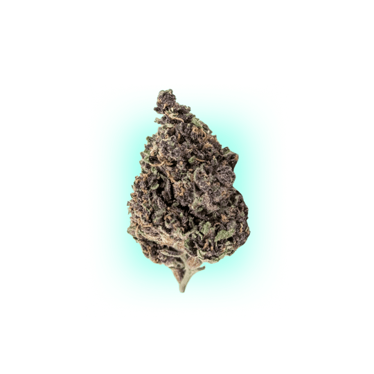 Cannabis Samen Blueberry