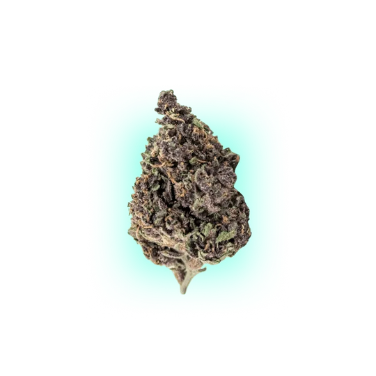 Cannabis Samen Automatik Mix Pack 5 Stück HHCFriends