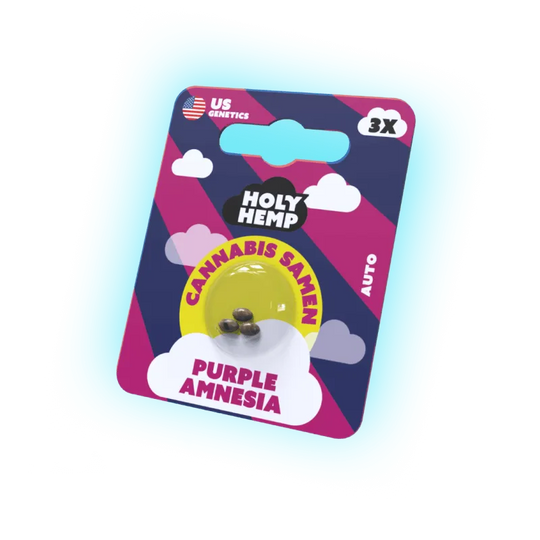 Seeds Purple Amnesia | 3 Samen US Genetics-HHCFriends