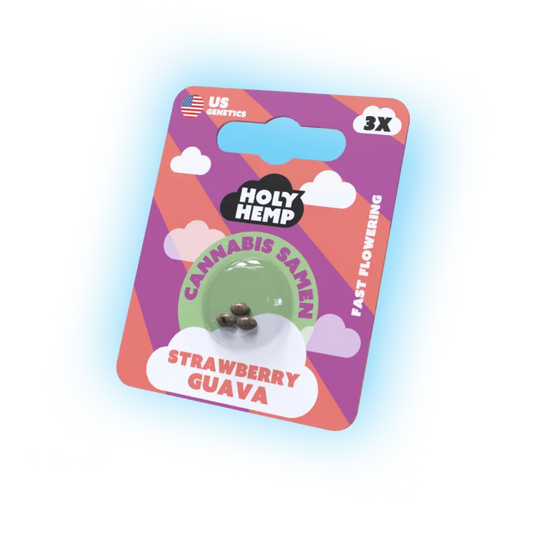 Seeds Strawberry Guava | 3 Samen US Genetics-HHCFriends