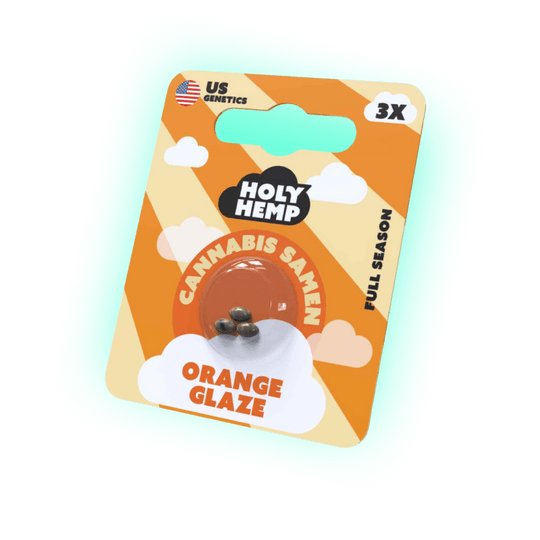Cannabis Samen Orange Glaze 3 Stück