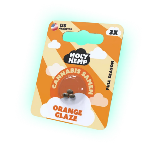 Cannabis Samen Orange Glaze 3 Stück-HHCFriends