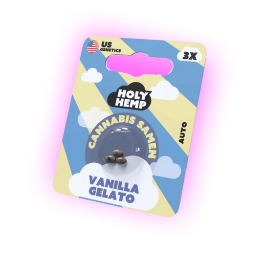 Cannabis Samen Vanilla Gelato 3 Stück-HHCFriends