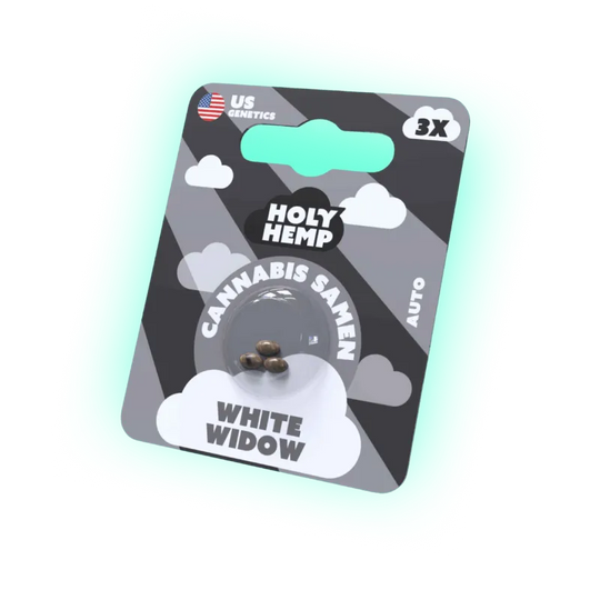 Cannabis Samen White Widow 3 Stück-HHCFriends
