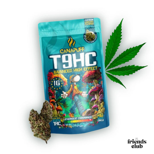 T9HC Blüten Balanced 99%-HHCFriends