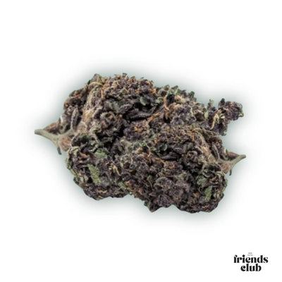PHC Blüten Purple Haze 25%
