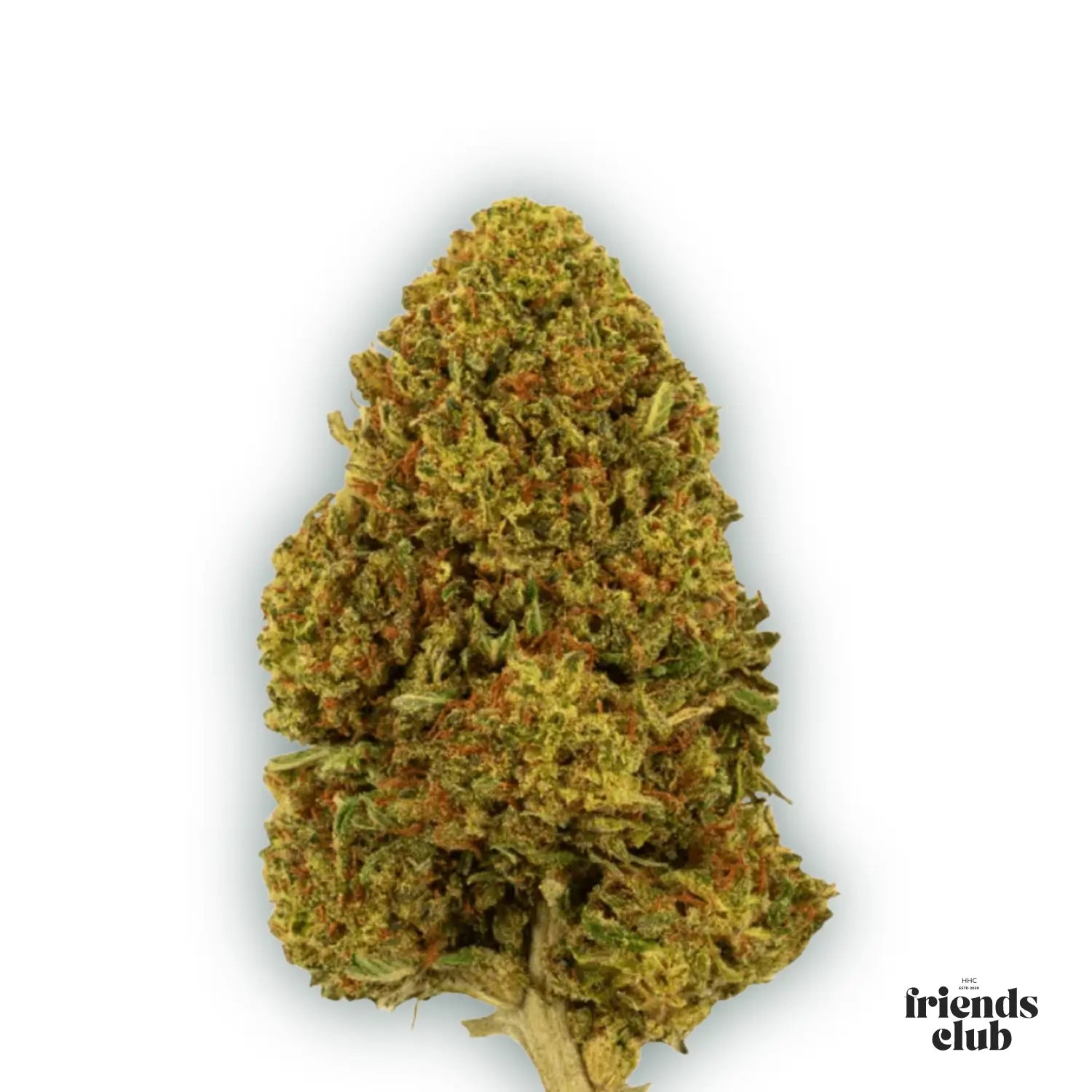 PHC Blüten Gelato #45-HHCFriends