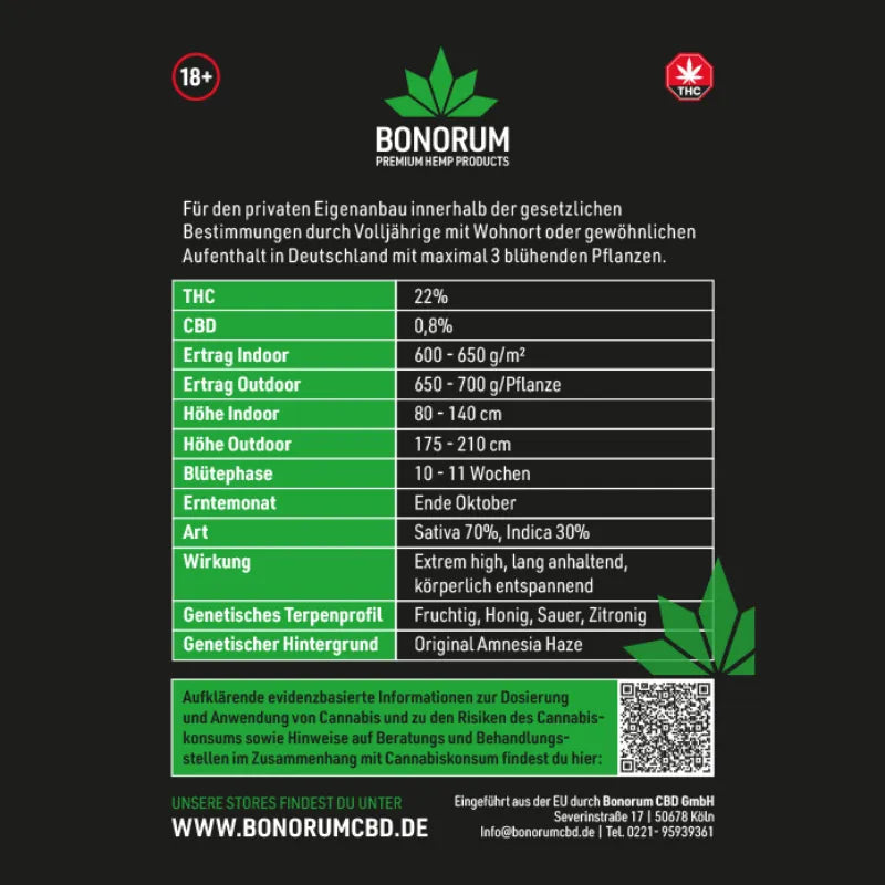 Amnesia Haze Original Samen THC 🌱 HHCFriends
