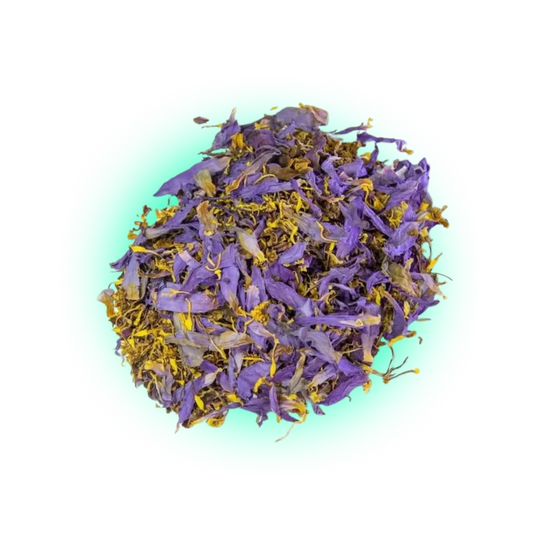 Blauer Lotus Tee-HHCFriends