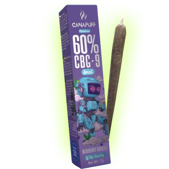 CBG9 Joint Blueberry Cookies 60% 2g