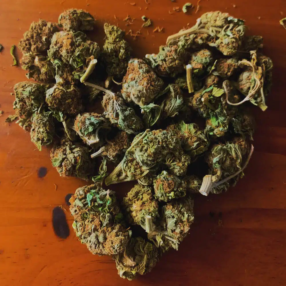Cannabis HHC Blüten Canabinoid Vorteile 