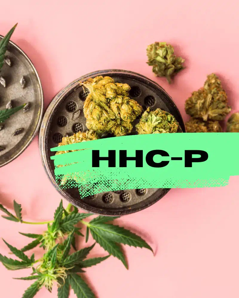 HHCp Blüten THC Wirkung