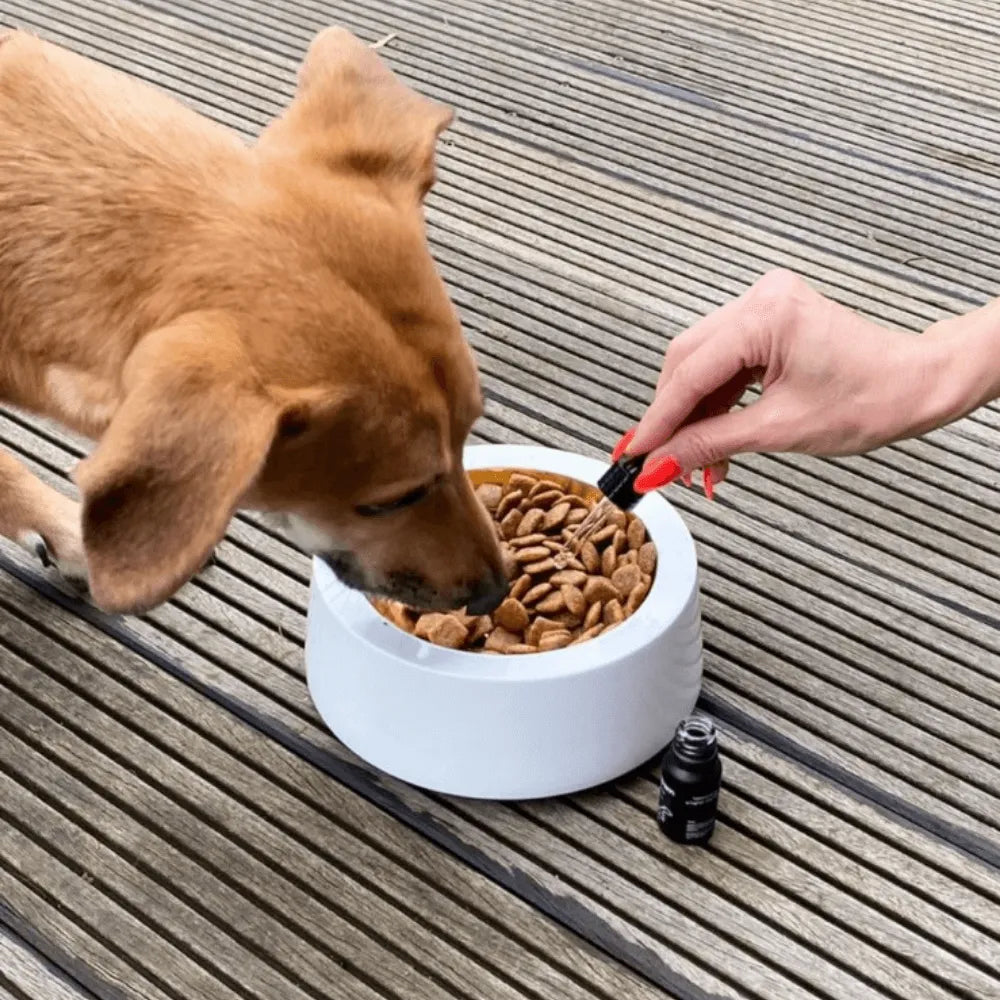 CBD Öl für Hunde 5% HHCFriends