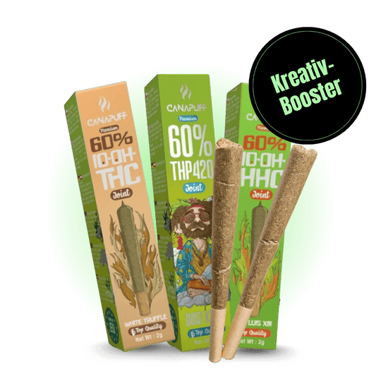 Kreativ-Booster Set-HHCFriends