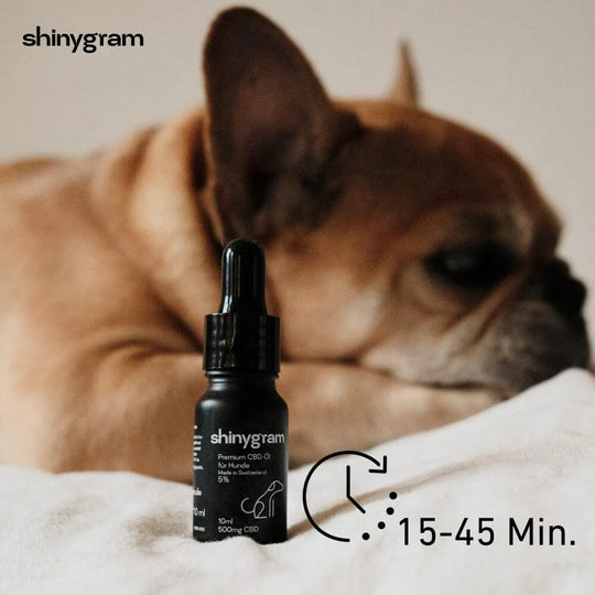 CBD Öl für Hunde 5% HHCFriends