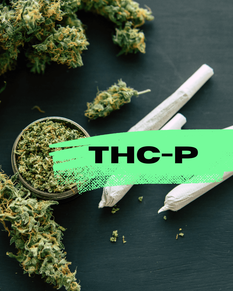 THCp Cannabis hhcfriends legal