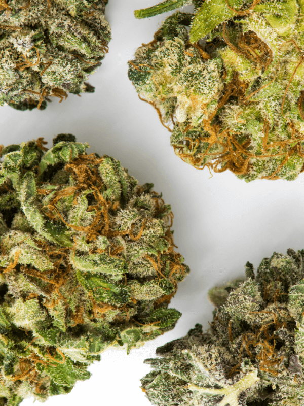THCP Blüten zum kaufen - Cannabis Blüten